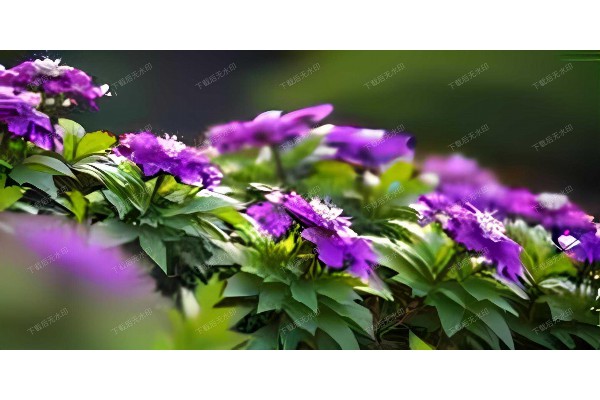 武汉SPA桑拿,享受极致放松时光! 武汉SPA桑拿,享受极致放松时光!